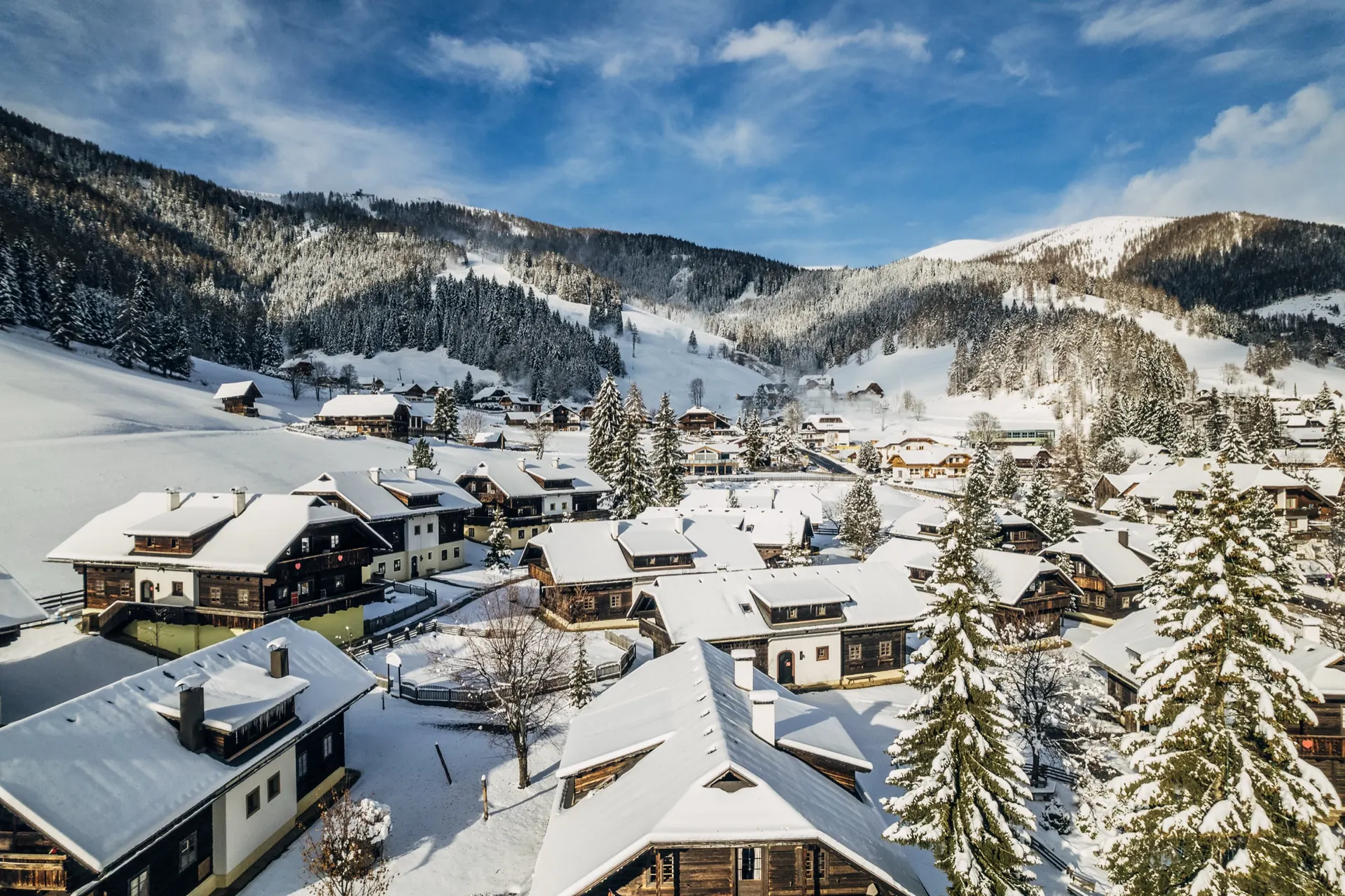 Dächer und Fichten im Schnee