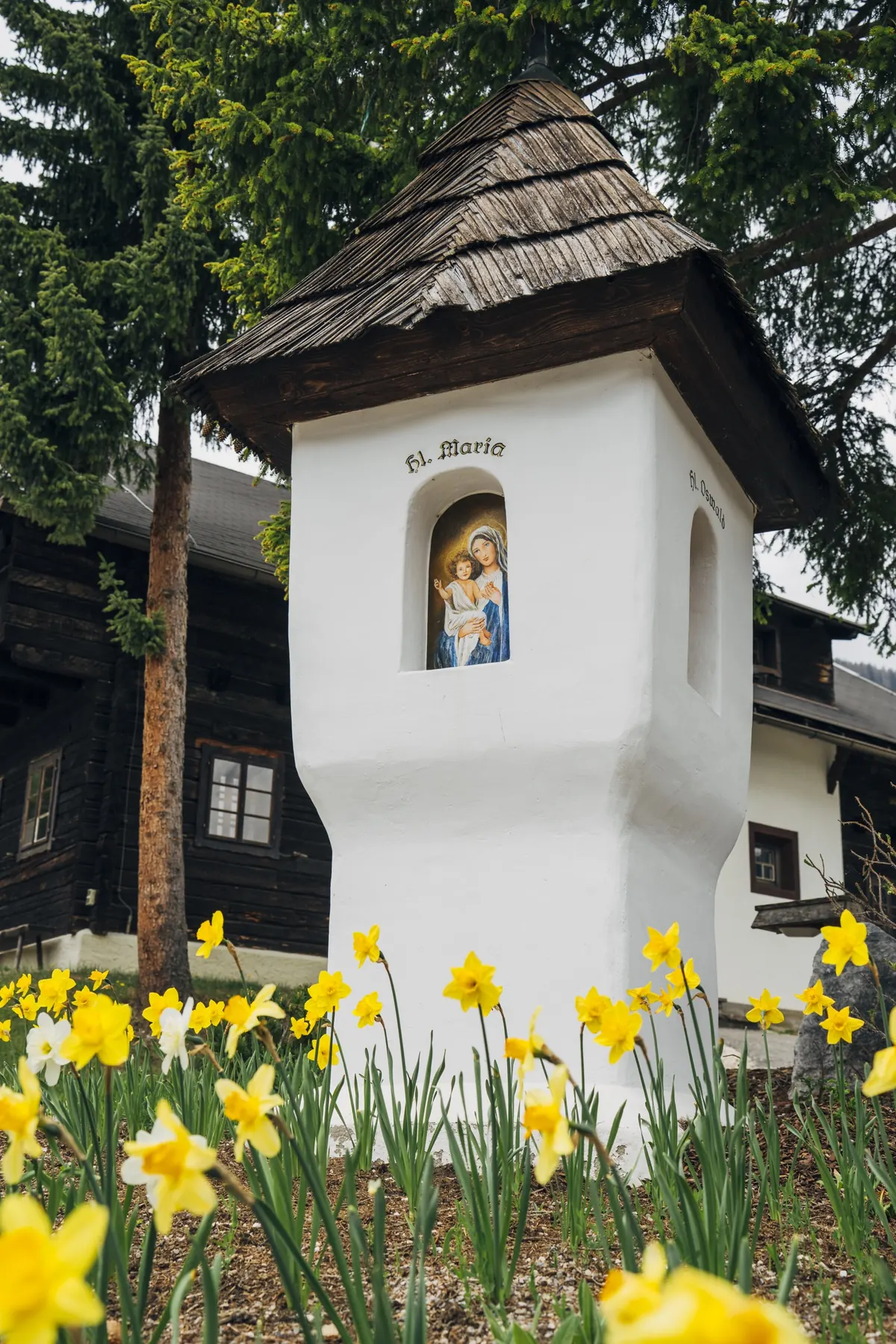 Bildstock mit Narzissen im Frühling