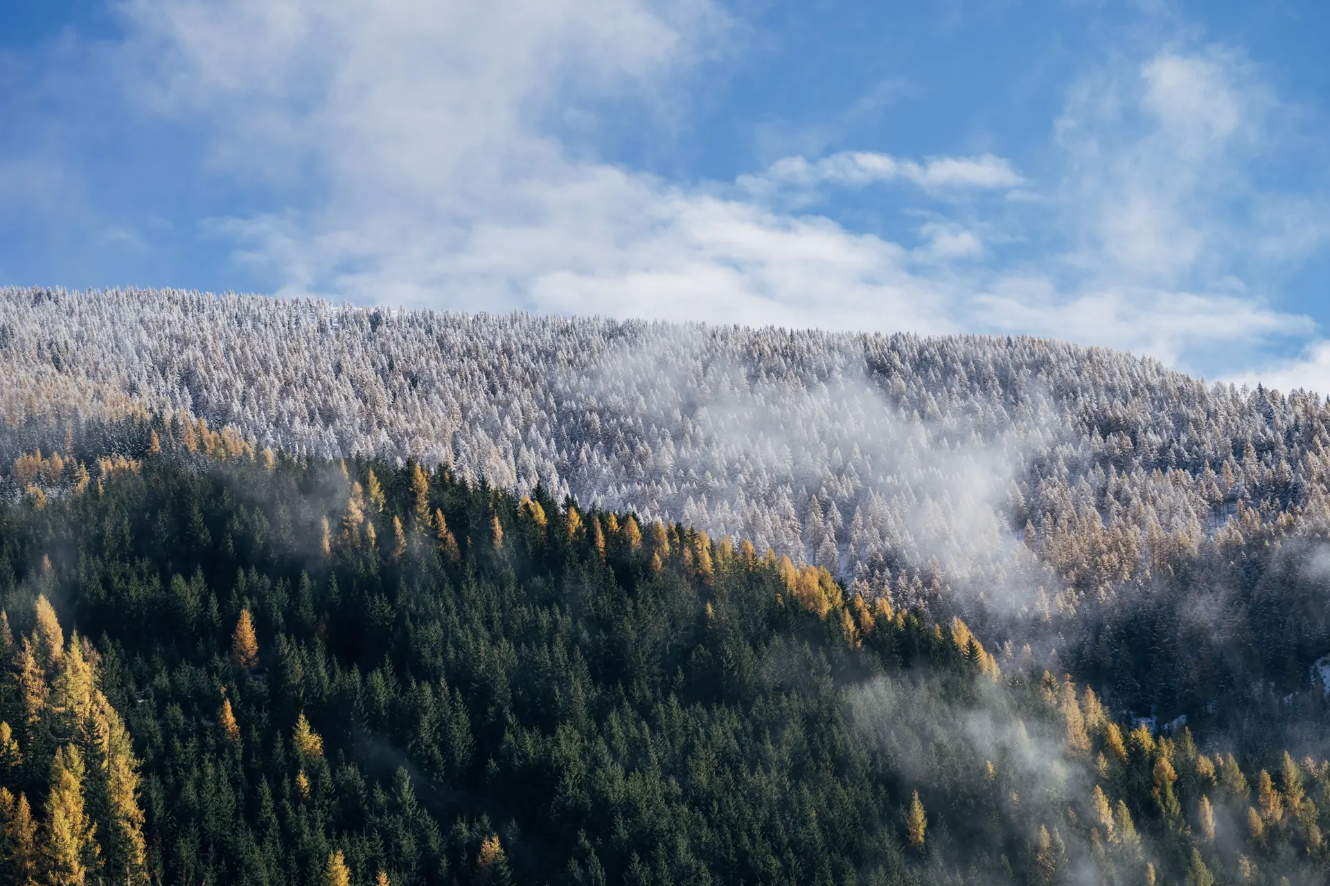 Herbstwald mit Schnee auf dem Gipfel