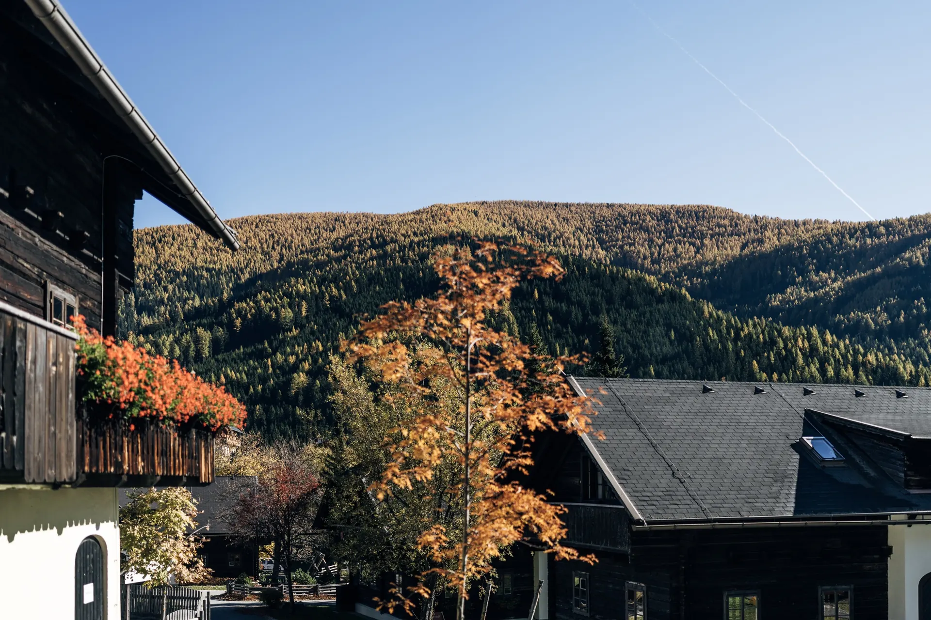 Balkon mit Blumen im Herbst