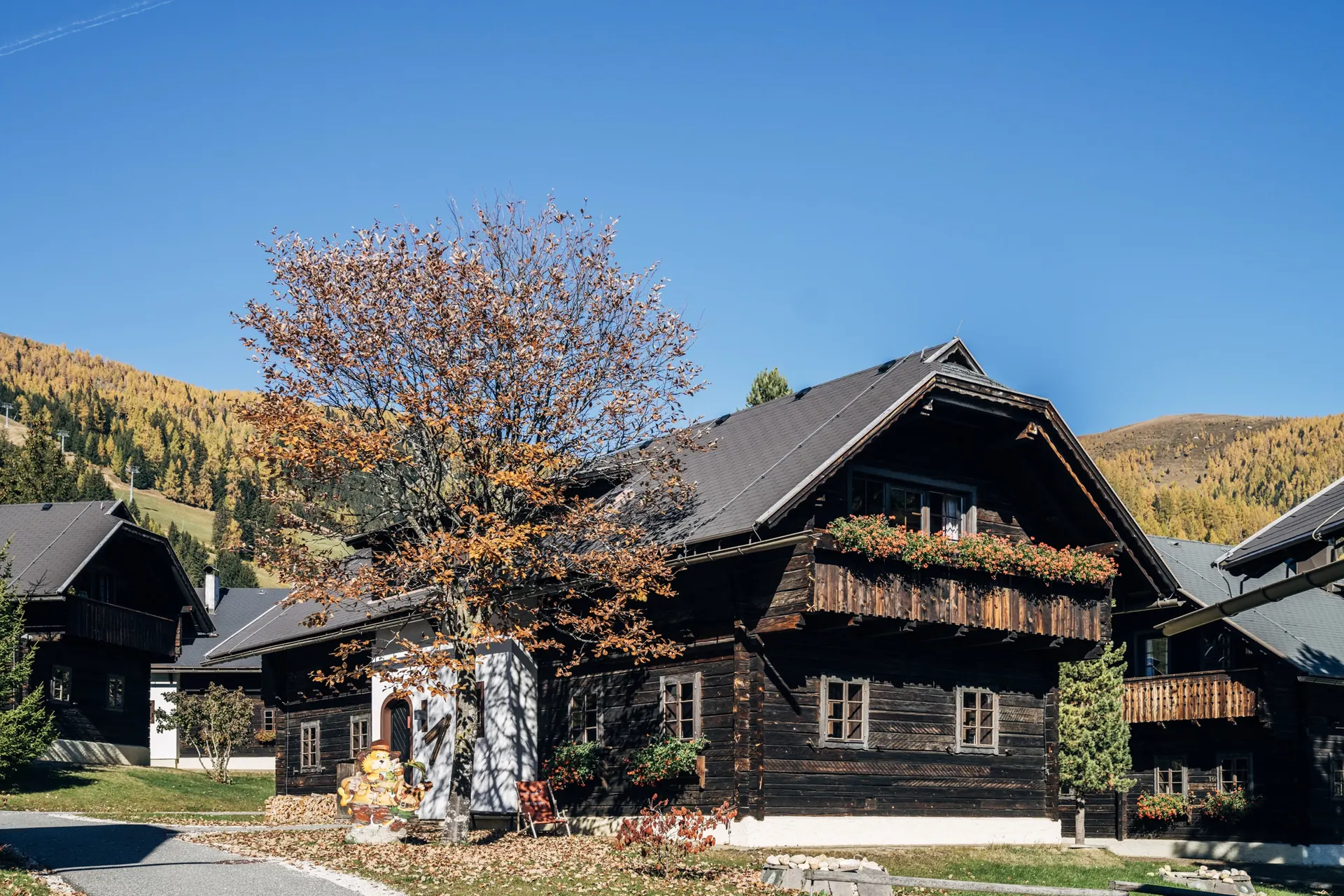 Holzhaus mit Herbstbaum