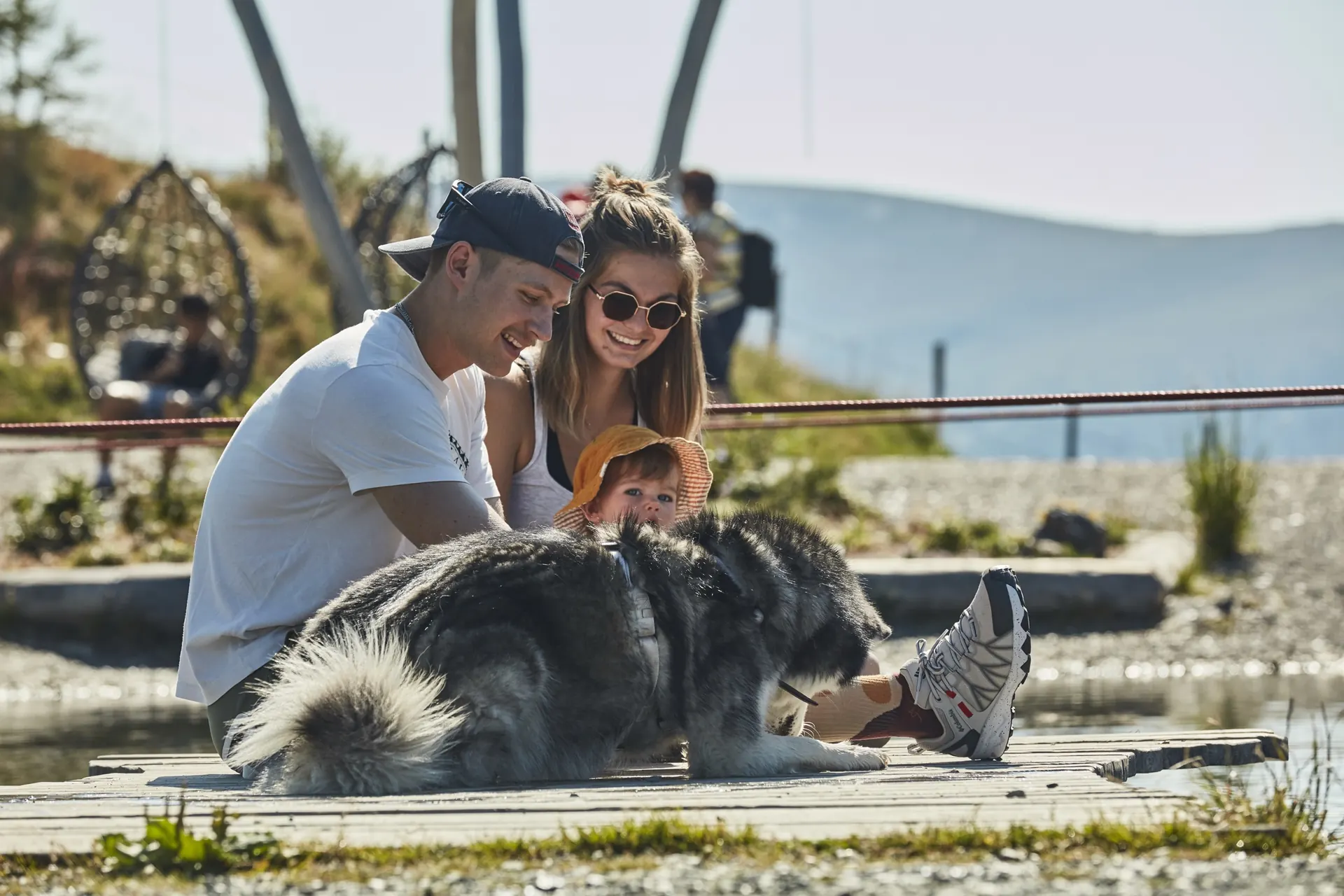 Husky auf dem Steg am Bergsee
