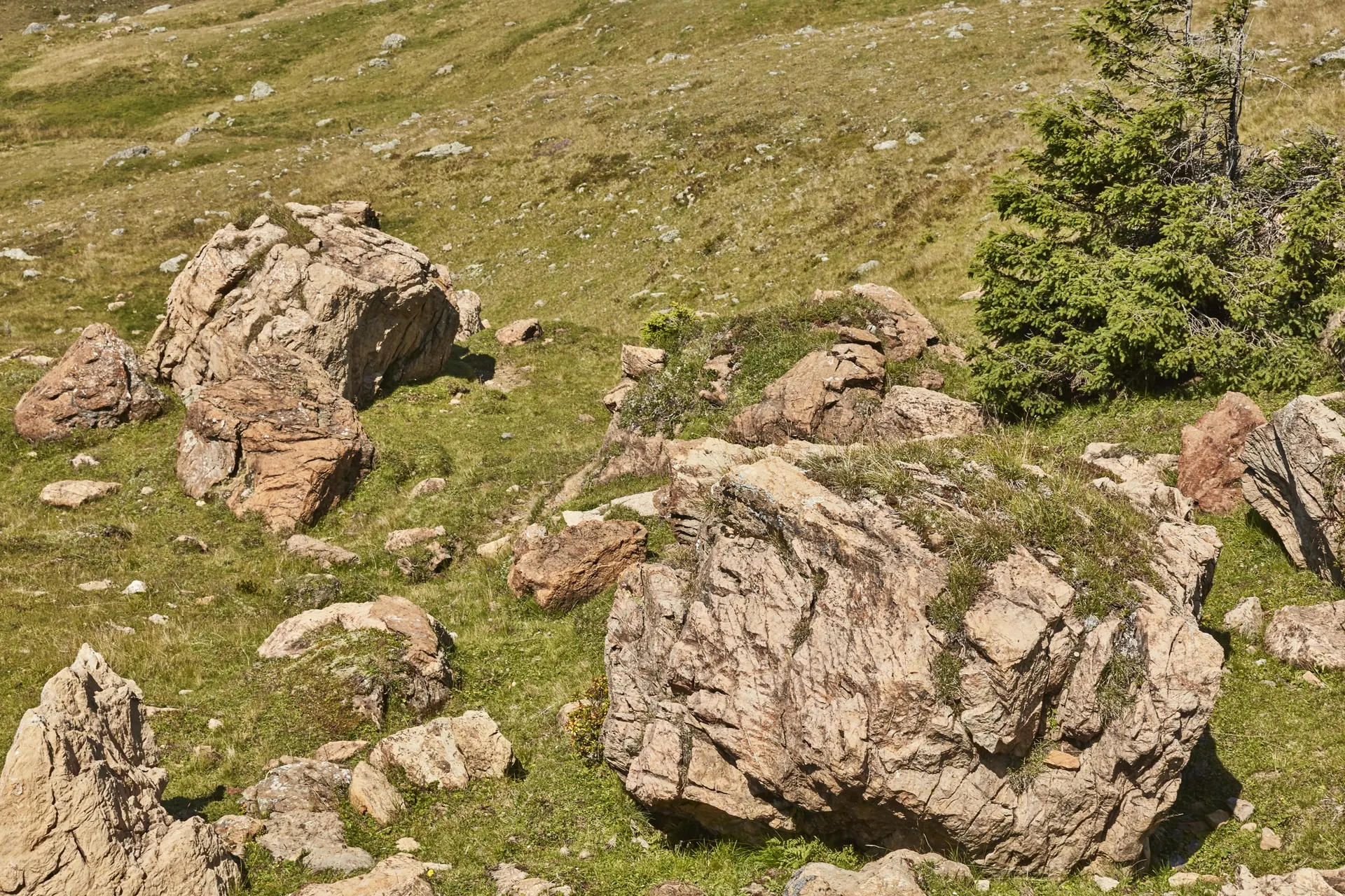 Felsen auf der Alm