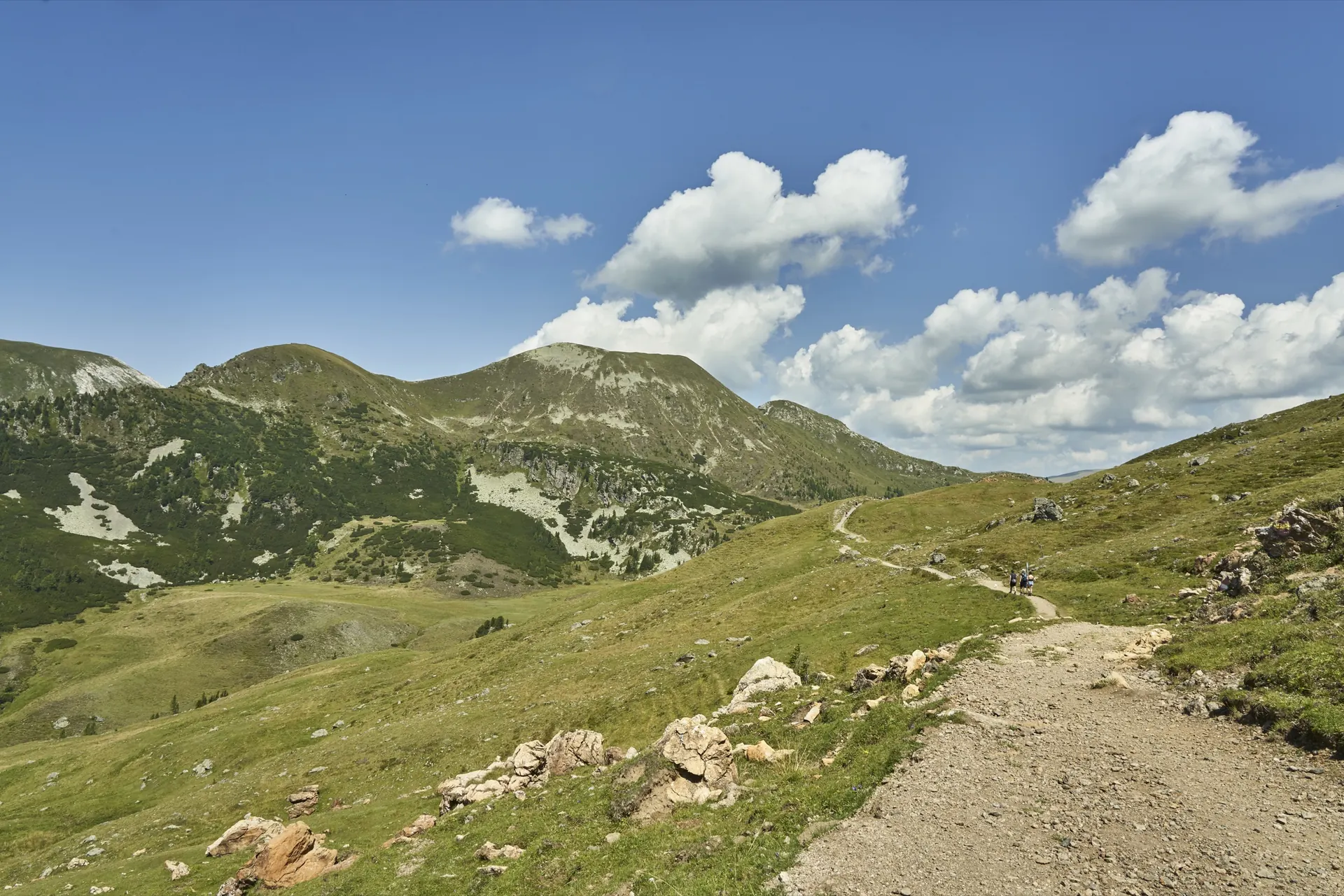 Almweg mit Bergen