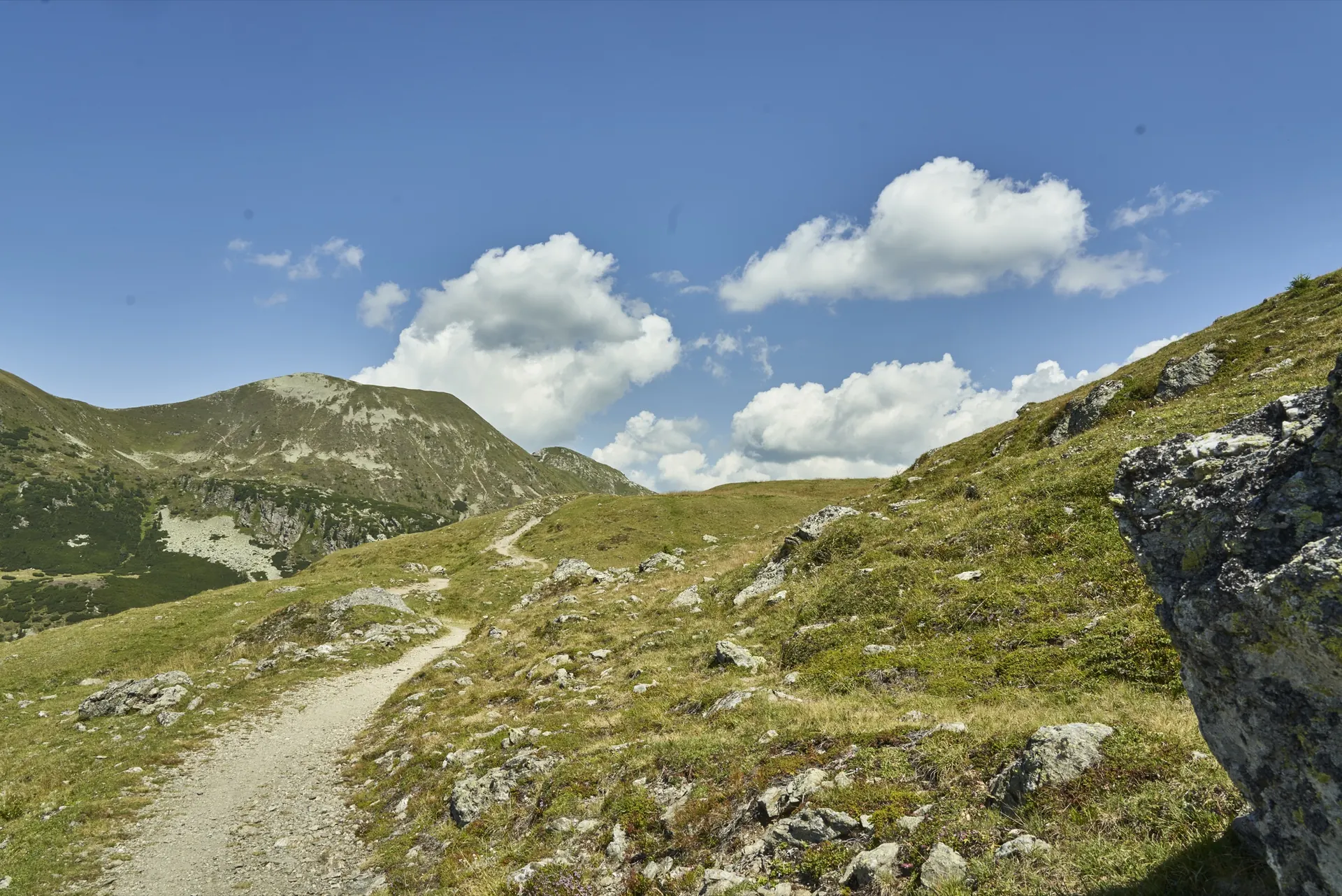Wanderweg mit Felsen