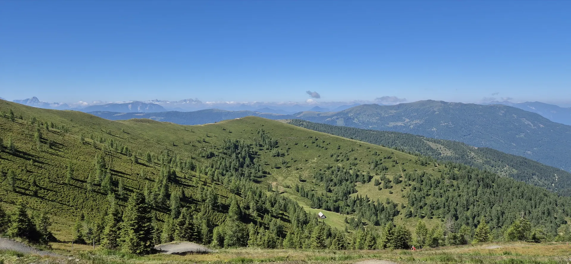 Wiese mit Weg auf der Alm