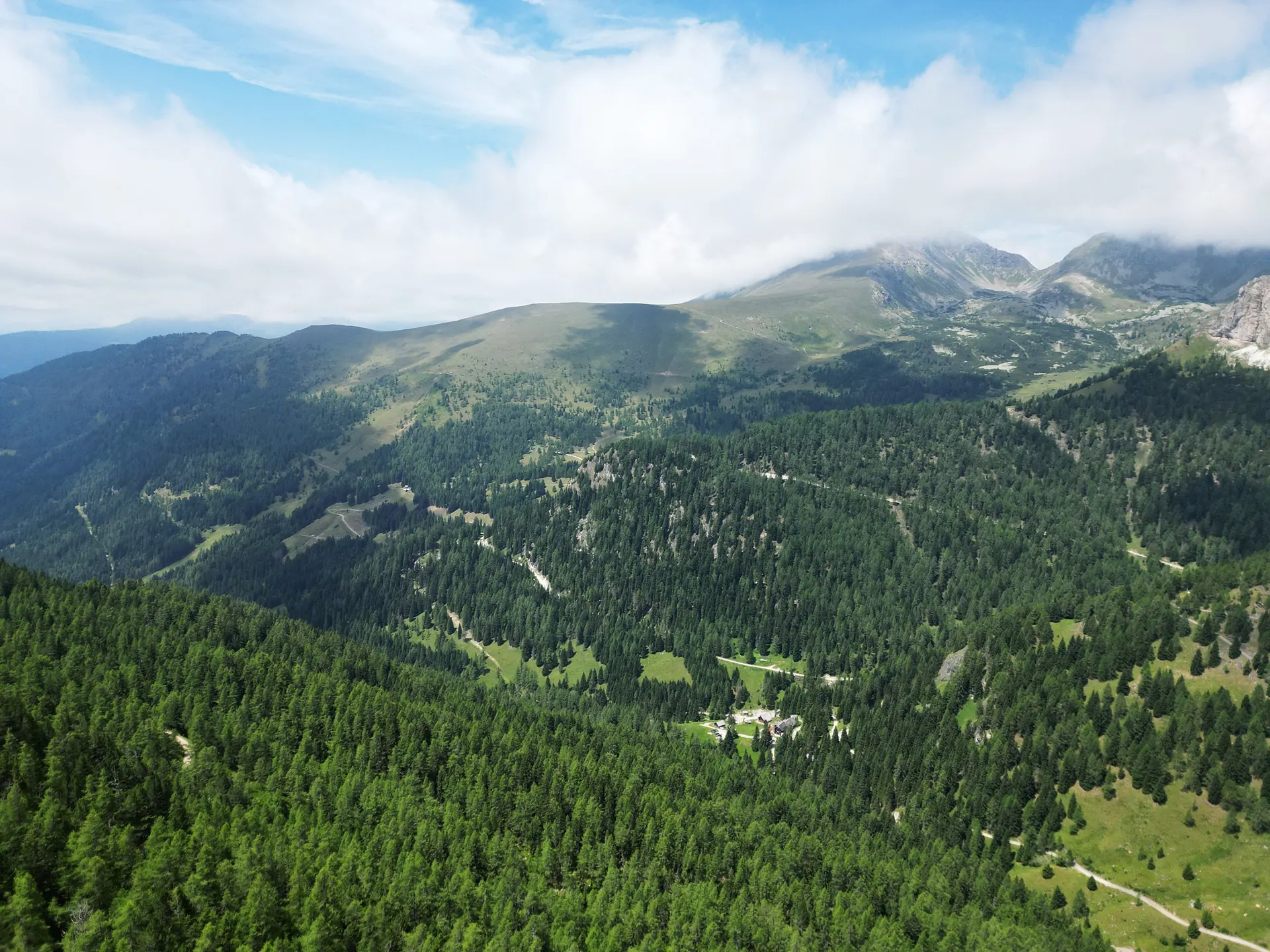 Wald und Berge