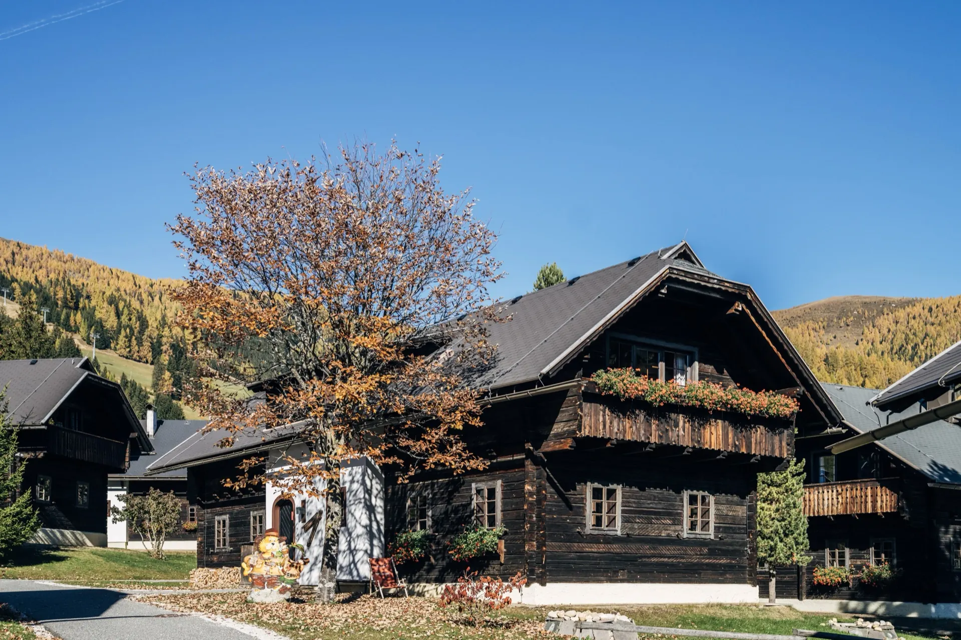 Holzhaus mit Herbstbaum vor goldenen Lärchenwäldern unter blauem Himmel